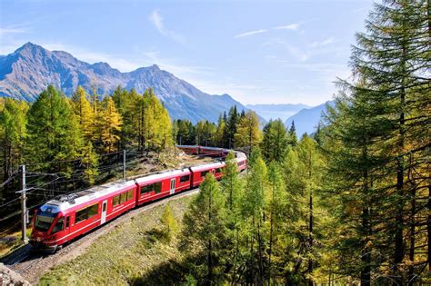 哪些火車經過蒲城東：旅途中的紛繁與選擇